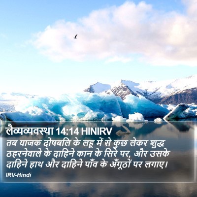 लैव्यव्यवस्था 14:14 HINIRV Bible Verse Image