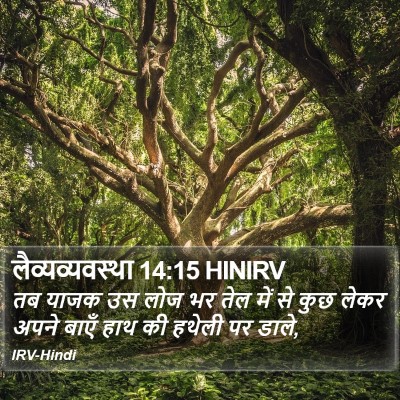 लैव्यव्यवस्था 14:15 HINIRV Bible Verse Image