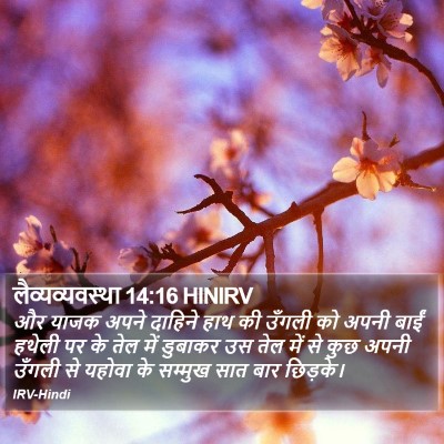 लैव्यव्यवस्था 14:16 HINIRV Bible Verse Image
