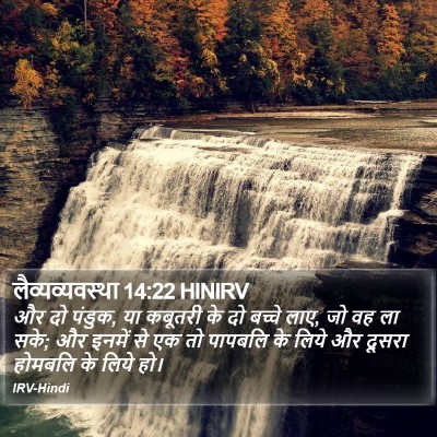 लैव्यव्यवस्था 14:22 HINIRV Bible Verse Image