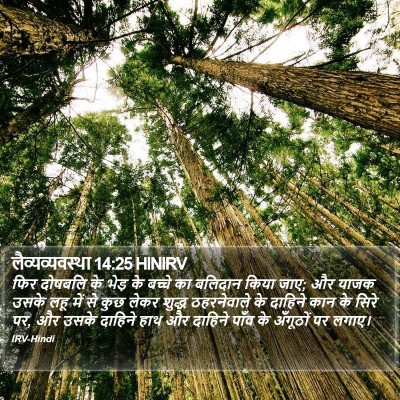 लैव्यव्यवस्था 14:25 HINIRV Bible Verse Image