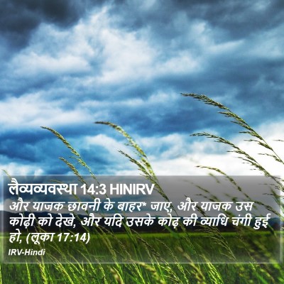 लैव्यव्यवस्था 14:3 HINIRV Bible Verse Image