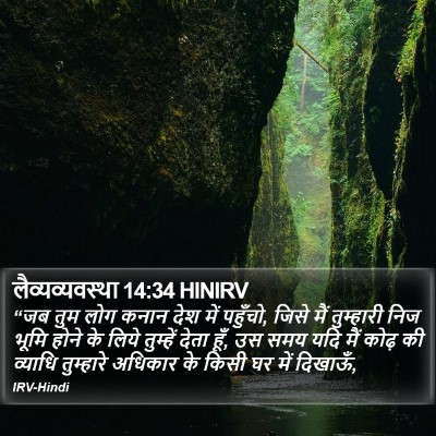 लैव्यव्यवस्था 14:34 HINIRV Bible Verse Image