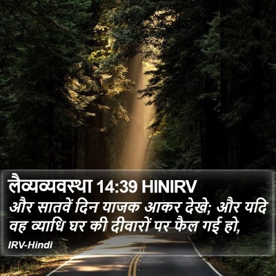 लैव्यव्यवस्था 14:39 HINIRV Bible Verse Image