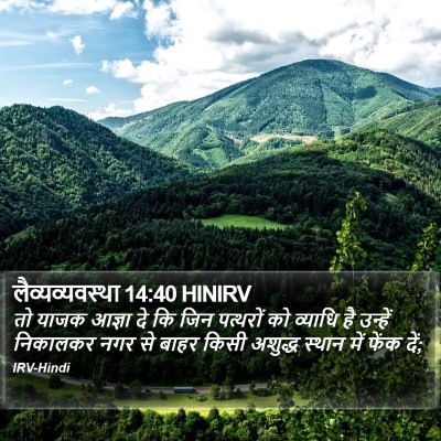 लैव्यव्यवस्था 14:40 HINIRV Bible Verse Image