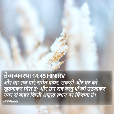 लैव्यव्यवस्था 14:45 HINIRV Bible Verse Image