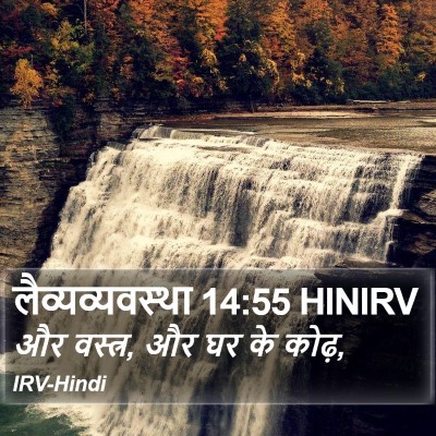 लैव्यव्यवस्था 14:55 HINIRV Bible Verse Image
