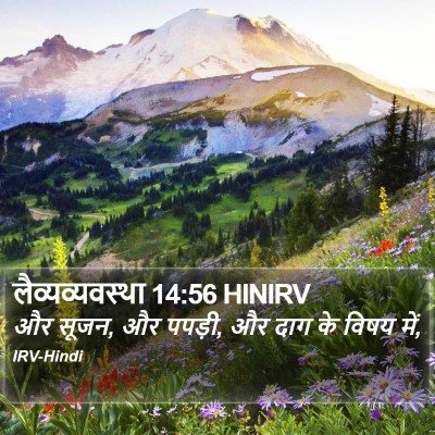 लैव्यव्यवस्था 14:56 HINIRV Bible Verse Image