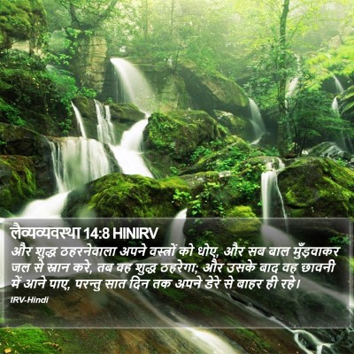 लैव्यव्यवस्था 14:8 HINIRV Bible Verse Image