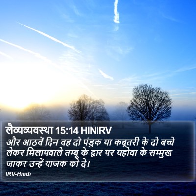 लैव्यव्यवस्था 15:14 HINIRV Bible Verse Image