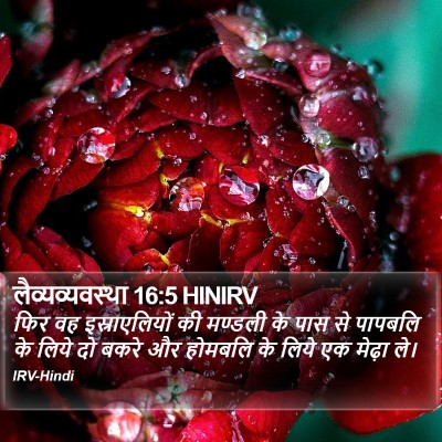 लैव्यव्यवस्था 16:5 HINIRV Bible Verse Image