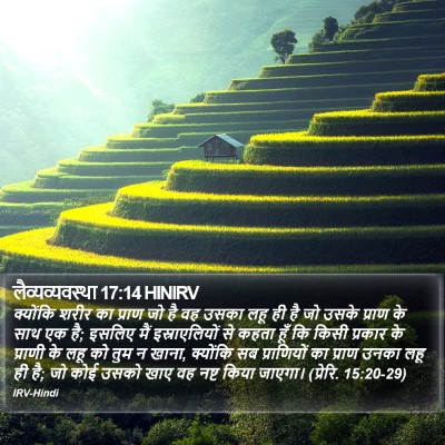 लैव्यव्यवस्था 17:14 HINIRV Bible Verse Image