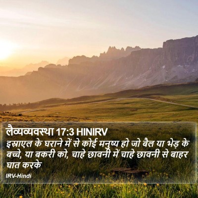 लैव्यव्यवस्था 17:3 HINIRV Bible Verse Image