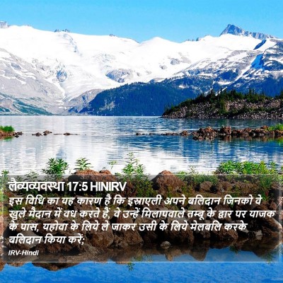 लैव्यव्यवस्था 17:5 HINIRV Bible Verse Image