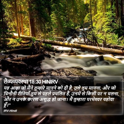 लैव्यव्यवस्था 18:30 HINIRV Bible Verse Image