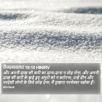 लैव्यव्यवस्था 19:10 HINIRV Bible Verse Image
