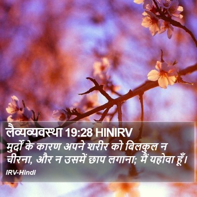 लैव्यव्यवस्था 19:28 HINIRV Bible Verse Image