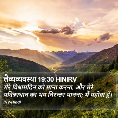 लैव्यव्यवस्था 19:30 HINIRV Bible Verse Image