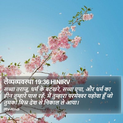 लैव्यव्यवस्था 19:36 HINIRV Bible Verse Image