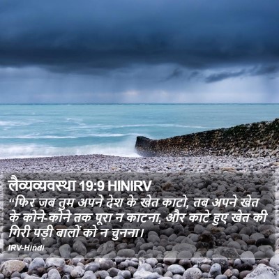 लैव्यव्यवस्था 19:9 HINIRV Bible Verse Image