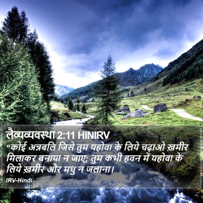 लैव्यव्यवस्था 2:11 HINIRV Bible Verse Image