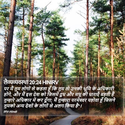 लैव्यव्यवस्था 20:24 HINIRV Bible Verse Image