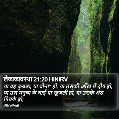 लैव्यव्यवस्था 21:20 HINIRV Bible Verse Image