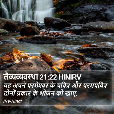 लैव्यव्यवस्था 21:22 HINIRV Bible Verse Image