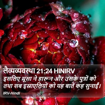 लैव्यव्यवस्था 21:24 HINIRV Bible Verse Image