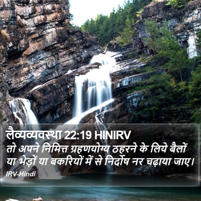 लैव्यव्यवस्था 22:19 HINIRV Bible Verse Image