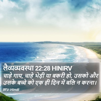 लैव्यव्यवस्था 22:28 HINIRV Bible Verse Image