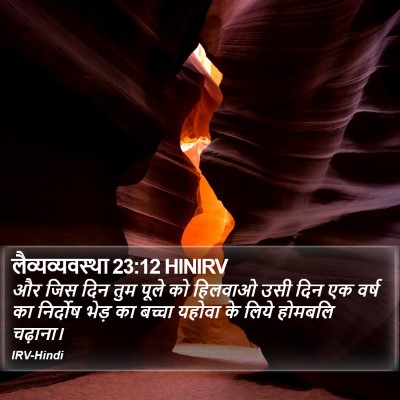 लैव्यव्यवस्था 23:12 HINIRV Bible Verse Image