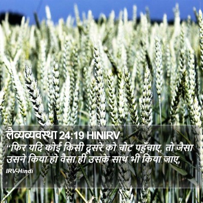 लैव्यव्यवस्था 24:19 HINIRV Bible Verse Image