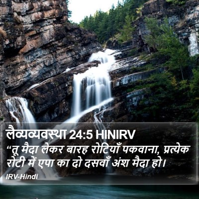 लैव्यव्यवस्था 24:5 HINIRV Bible Verse Image
