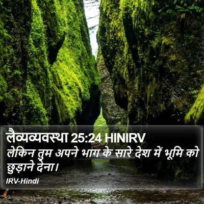 लैव्यव्यवस्था 25:24 HINIRV Bible Verse Image