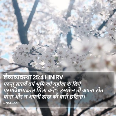 लैव्यव्यवस्था 25:4 HINIRV Bible Verse Image