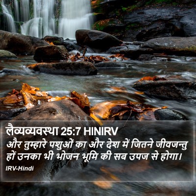 लैव्यव्यवस्था 25:7 HINIRV Bible Verse Image