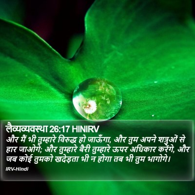 लैव्यव्यवस्था 26:17 HINIRV Bible Verse Image