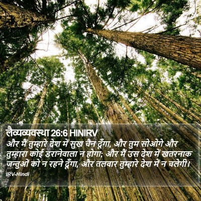 लैव्यव्यवस्था 26:6 HINIRV Bible Verse Image