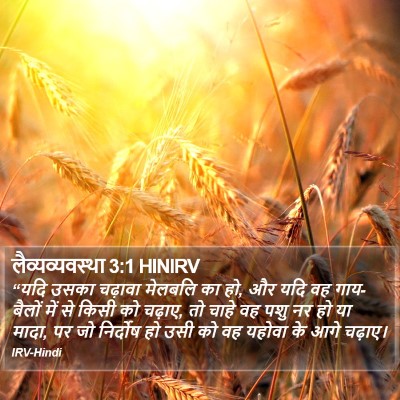 लैव्यव्यवस्था 3:1 HINIRV Bible Verse Image