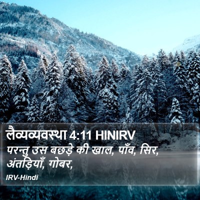 लैव्यव्यवस्था 4:11 HINIRV Bible Verse Image