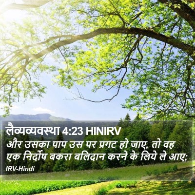 लैव्यव्यवस्था 4:23 HINIRV Bible Verse Image