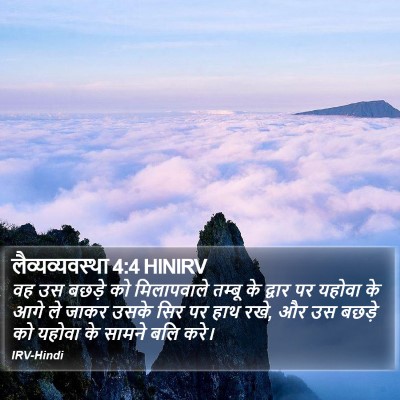 लैव्यव्यवस्था 4:4 HINIRV Bible Verse Image