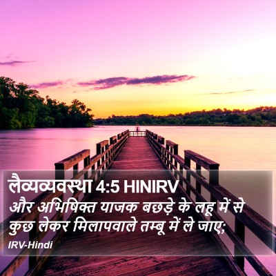 लैव्यव्यवस्था 4:5 HINIRV Bible Verse Image