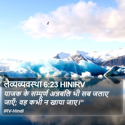 लैव्यव्यवस्था 6:23 HINIRV Bible Verse Image