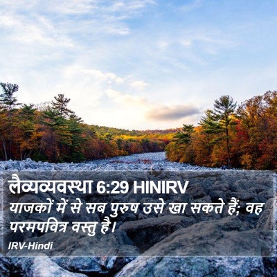 लैव्यव्यवस्था 6:29 HINIRV Bible Verse Image