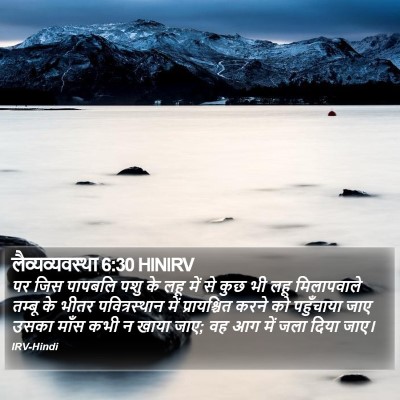 लैव्यव्यवस्था 6:30 HINIRV Bible Verse Image