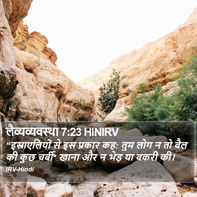 लैव्यव्यवस्था 7:23 HINIRV Bible Verse Image