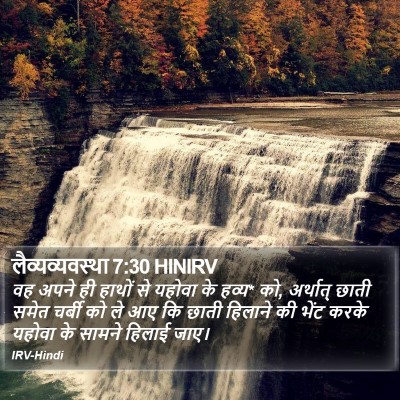 लैव्यव्यवस्था 7:30 HINIRV Bible Verse Image