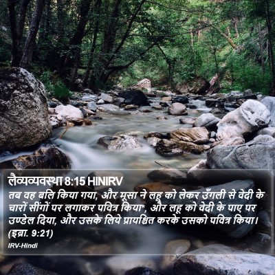 लैव्यव्यवस्था 8:15 HINIRV Bible Verse Image